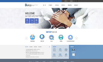 天津網站制作 工業制品官網網站制作欣賞